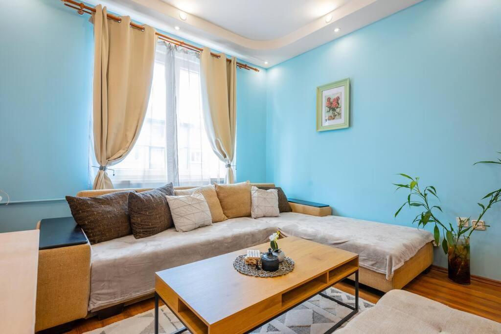 Spacious 3Bd Central Apartment Sofie Exteriér fotografie