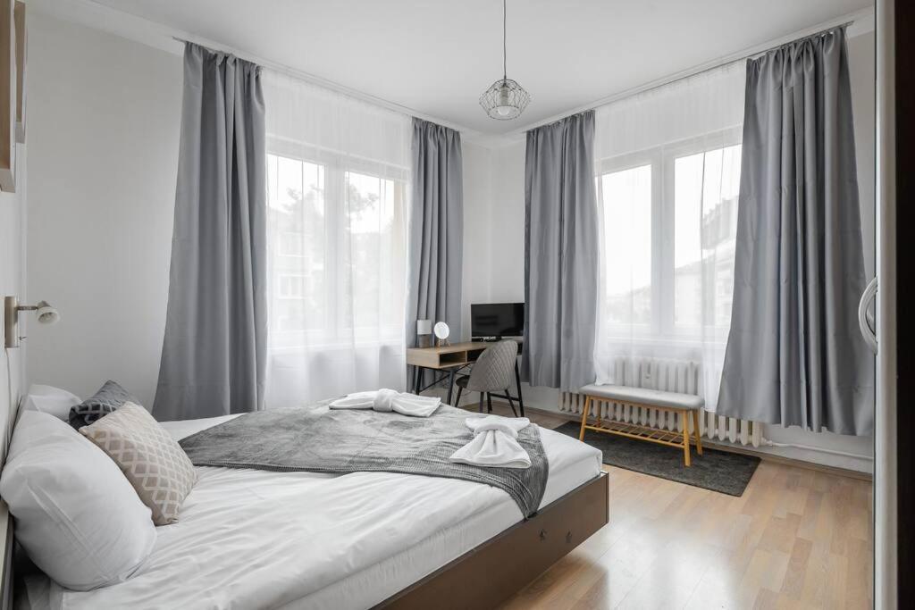 Spacious 3Bd Central Apartment Sofie Exteriér fotografie