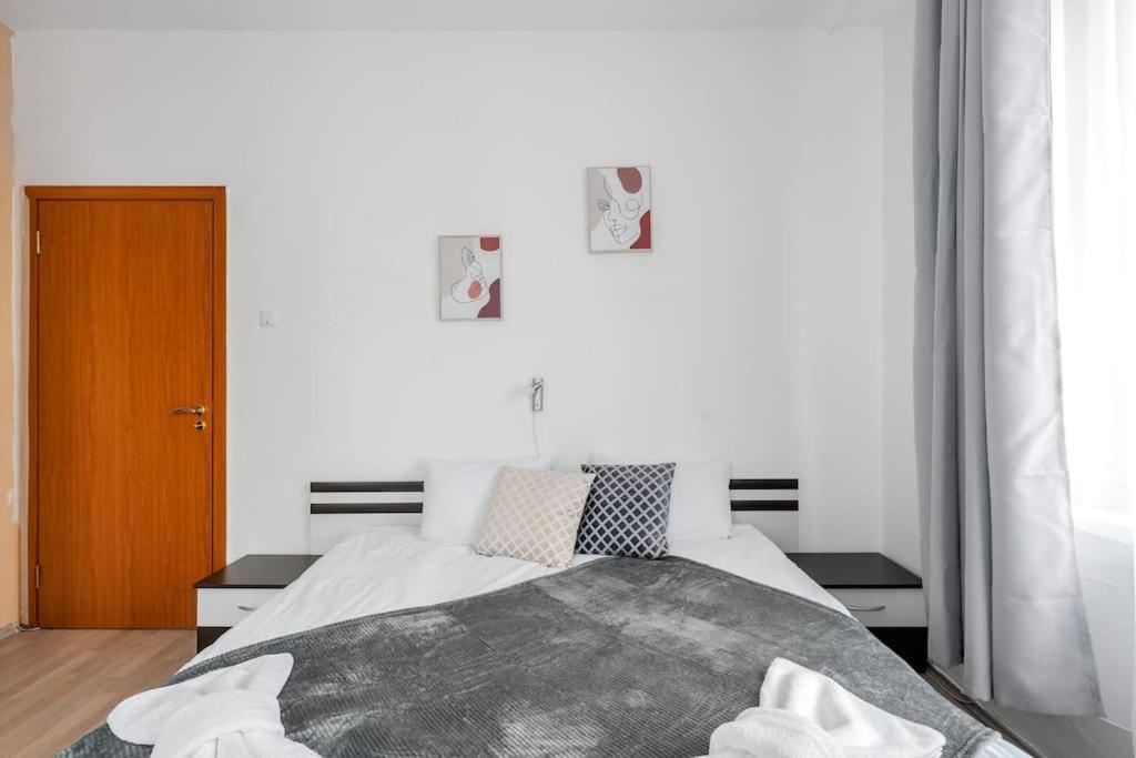 Spacious 3Bd Central Apartment Sofie Exteriér fotografie