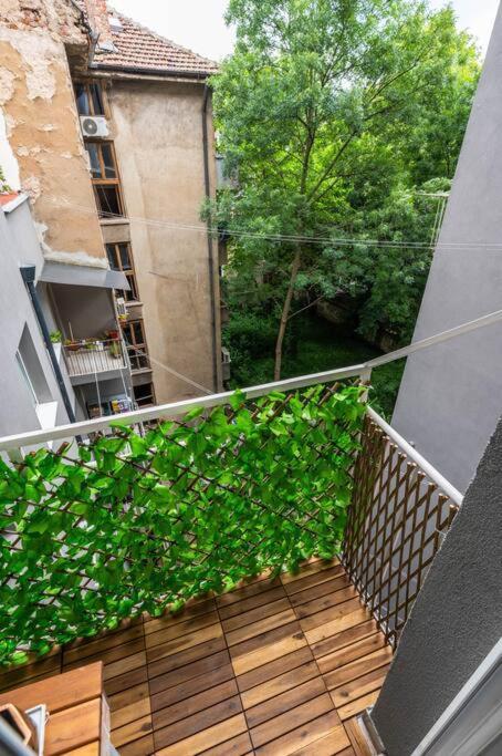 Spacious 3Bd Central Apartment Sofie Exteriér fotografie